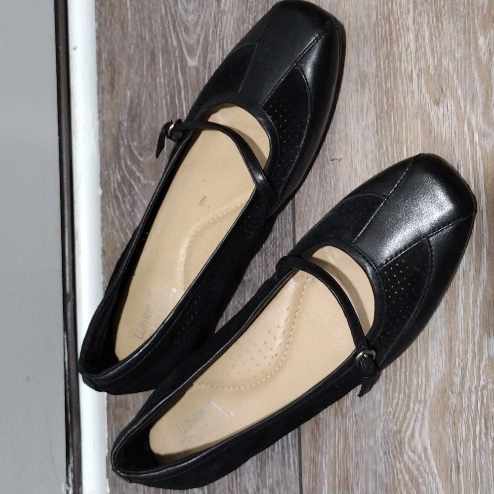 White Mountain Black Flats
